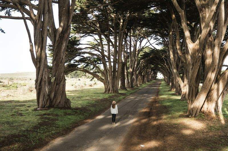 ライフスタイル・クリエイト - Image 10